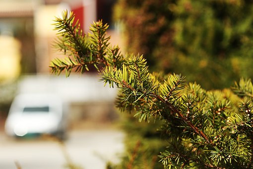 �����п���̸��μƻ�