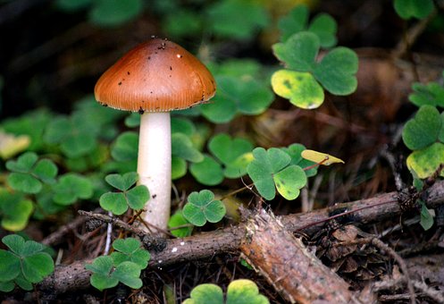 ��ȷ�������ݽ��Ĺؼ������Ӣ������10������