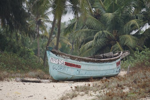 决战一轮:新高三生如何用策略赢在起跑线