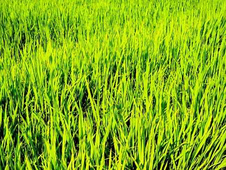 初一成绩总分多少分算优秀