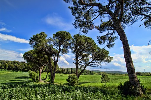 如何与外国人无障碍沟通:明确三步骤持之以恒