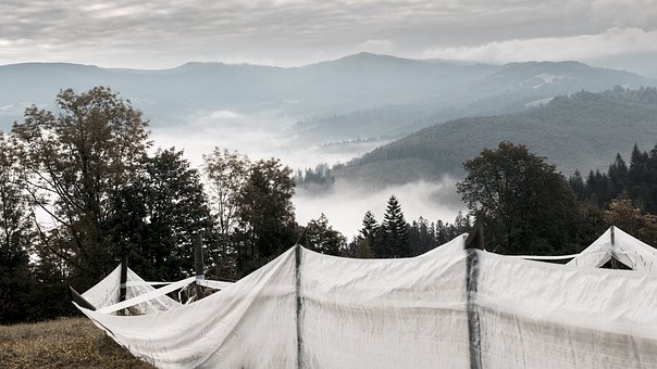 小学语文教学评价与反馈篇