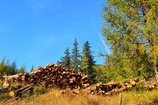 ����⺣ս����������ѧ���С�͸�⼸���飬������������