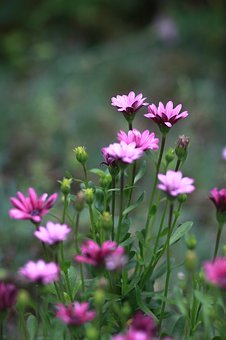 Χ��֮�����ļ�ʱ����