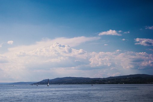 生物科技公司口号(1)