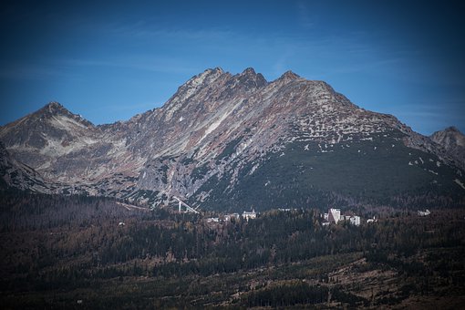 �׽���������������ѧ���Ǻ���������������ĩ��ϰ����