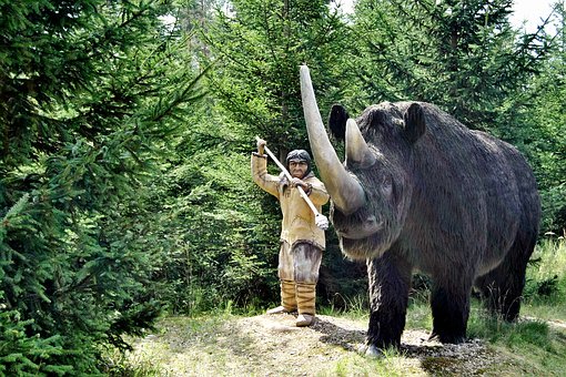 数学家:奥数低龄化反而会扼杀天才